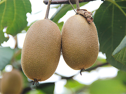 九游官网首页基地展示一