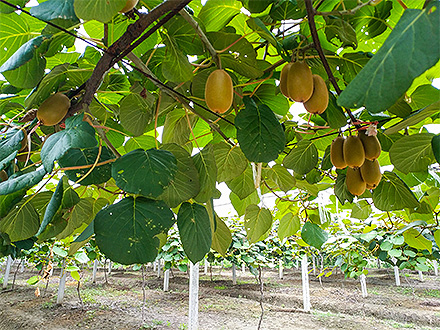九游官网首页基地展示三