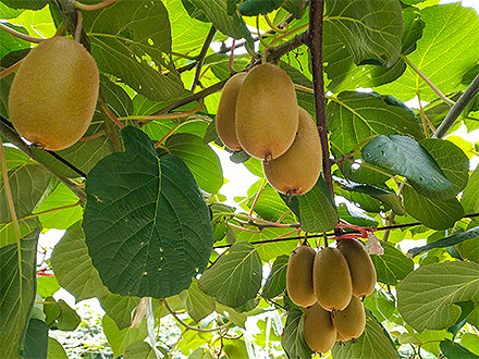 九游官网首页基地展示四