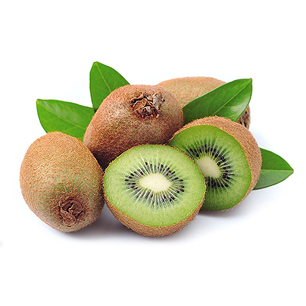 九游官网首页产品中心二