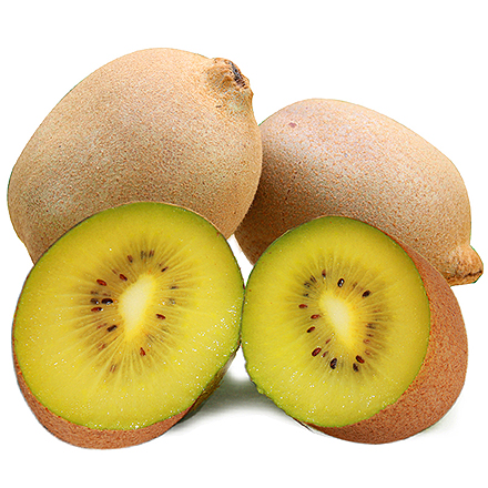 九游官网首页产品中心四