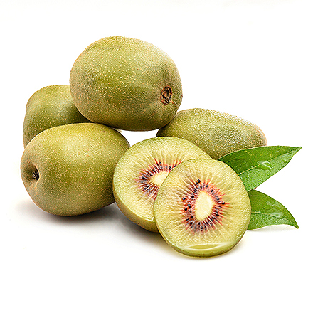 九游官网首页产品中心八